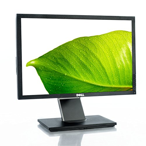 Dell P1911 19.0" 1440 x 900 Monitor