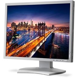 NEC P212 21.3" 1600 x 1200 60 Hz Monitor