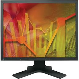 Eizo FlexScan S2133 21.3" 1600 x 1200 Monitor