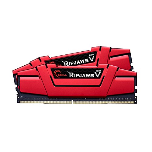 G.Skill Ripjaws V 32 GB (2 x 16 GB) DDR4-2800 CL15 Memory