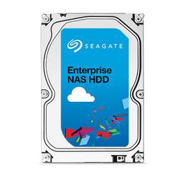 Seagate Enterprise NAS 6 TB 3.5" 7200 RPM Internal Hard Drive